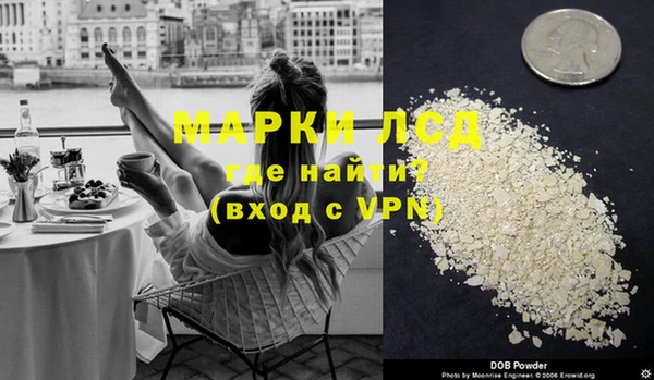 крисы Магадан