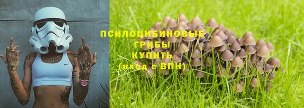 крисы Магадан