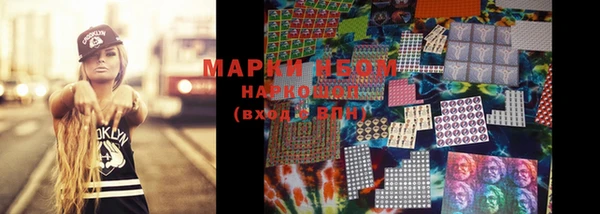 крисы Магадан