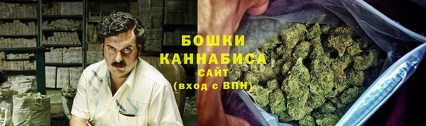 крисы Магадан