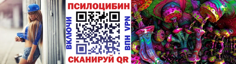 где найти   Оренбург  Псилоцибиновые грибы MAGIC MUSHROOMS 